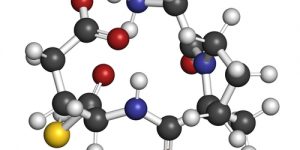 Development of Trofinetide