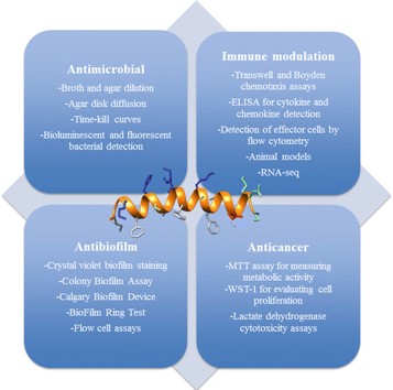 Methods for Assessing the Efficacy of AMPs