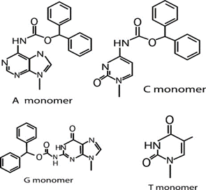 Bhoc/Fmoc PNA monomers.