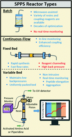 Automated peptide synthesis using solid-phase reactors.