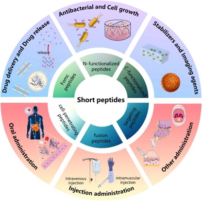 Applications of synthetic peptides in various fields.